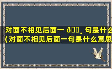 对面不相见后面一 🌸 句是什么（对面不相见后面一句是什么意思）